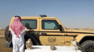 القبض على مواطن في المدينة المنورة لمخالفة الصيد يكشف المضبوطات المحظورة بحوزته